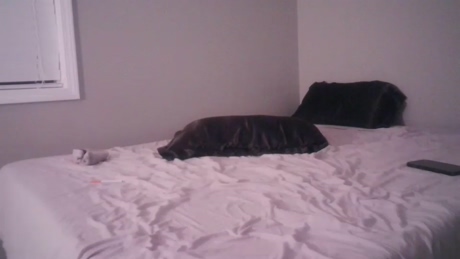 leefoxx  07-01-2022